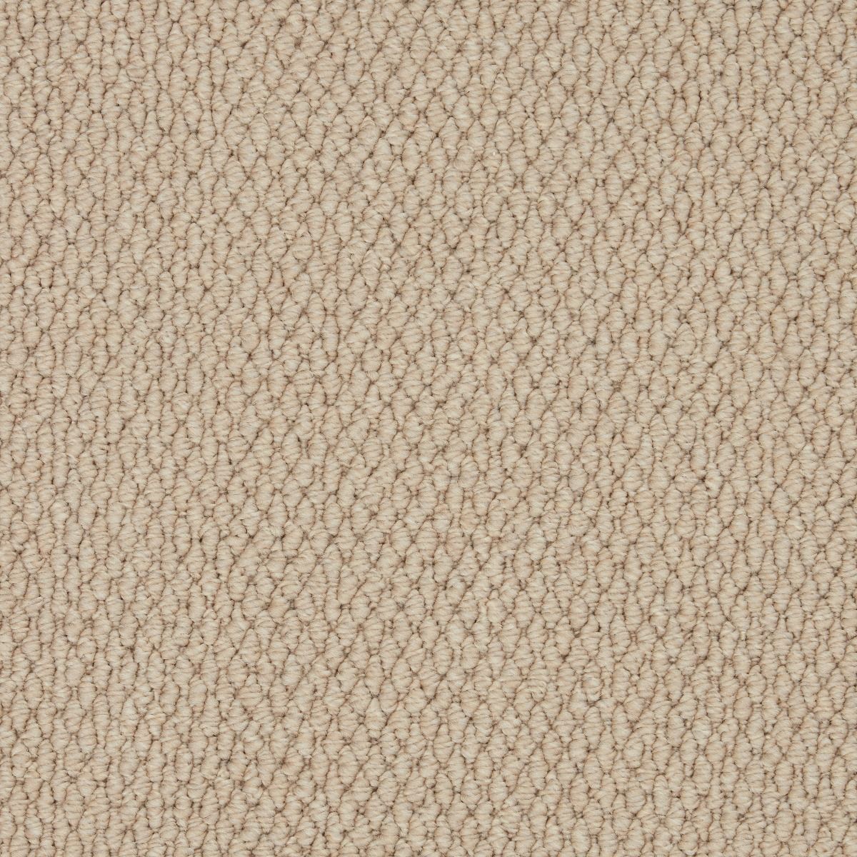 Cormar Carpet Co Primo Textures Boulder