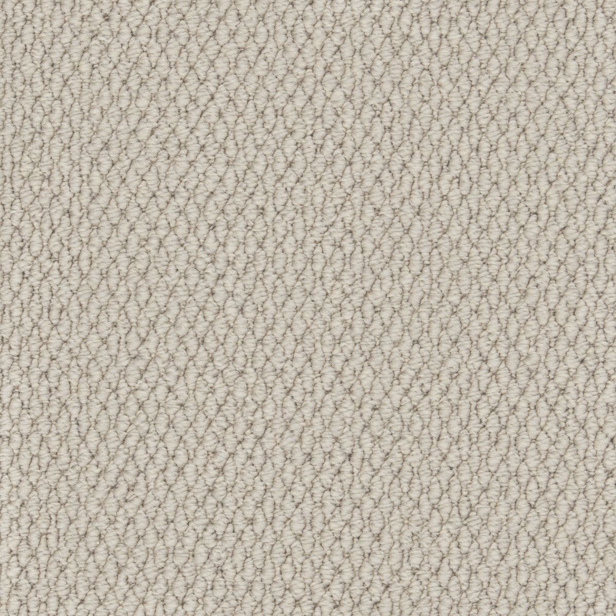 Cormar Carpet Co Primo Textures Boulder