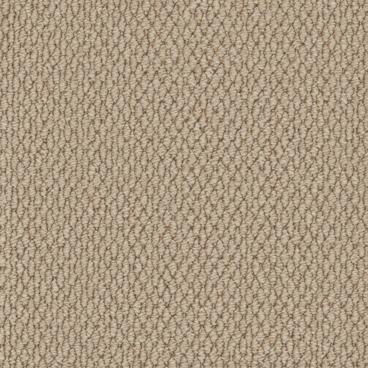 Cormar Carpet Co Primo Textures Boulder