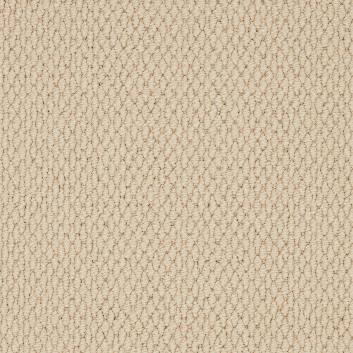 Cormar Carpet Co Primo Textures Boulder
