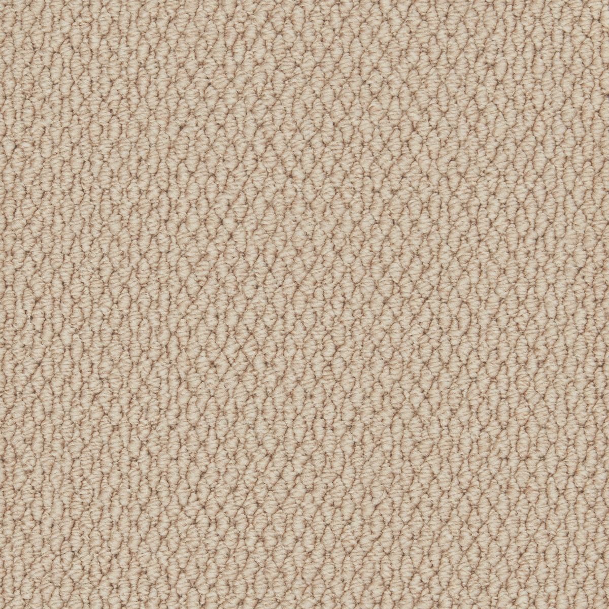 Cormar Carpet Co Primo Textures Tapestry