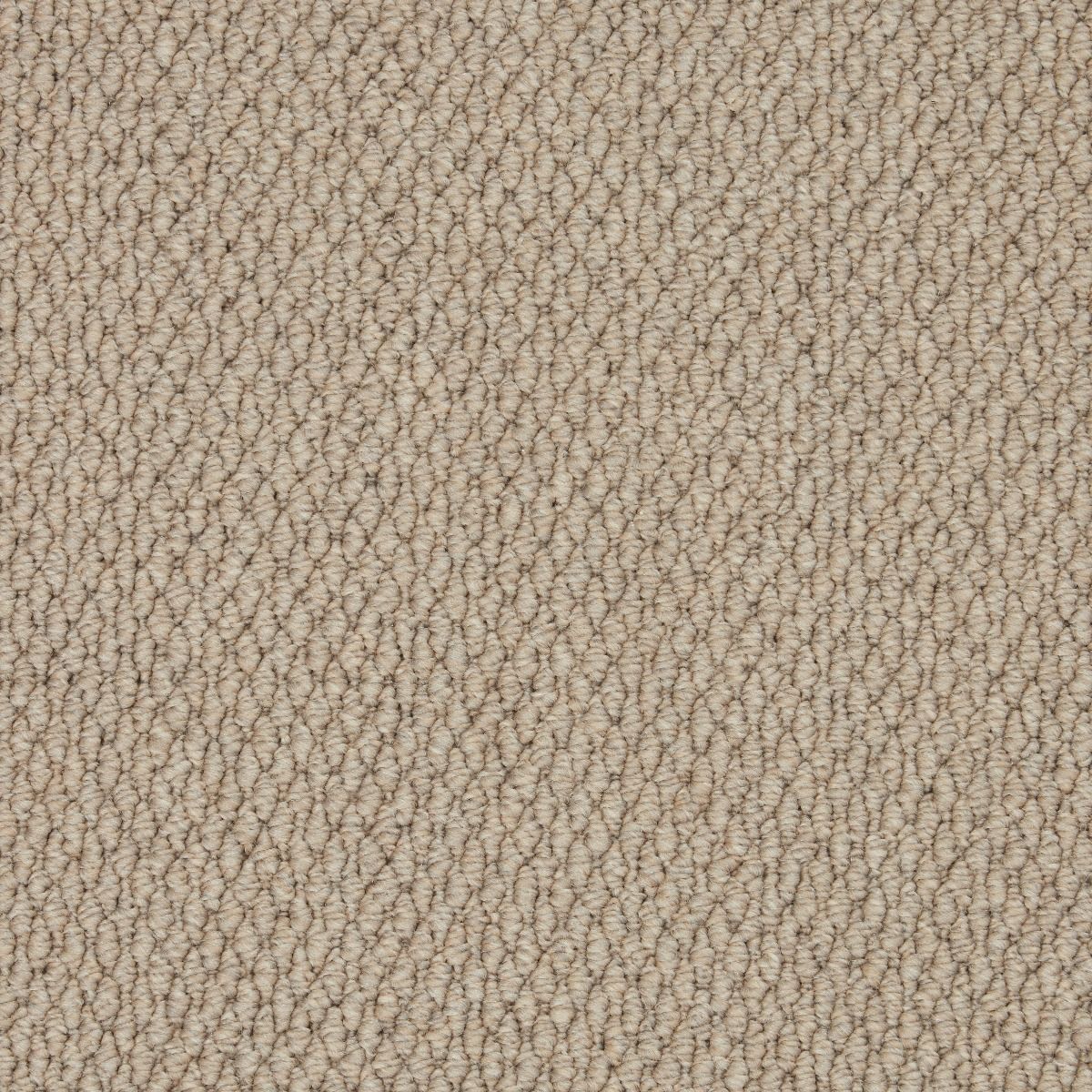 Cormar Carpet Co Primo Textures Boulder
