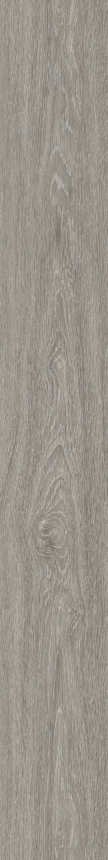Paragon Rapport 2.5mm Wood Plank Grey French Elm 184.2 X 1219.2 mm
