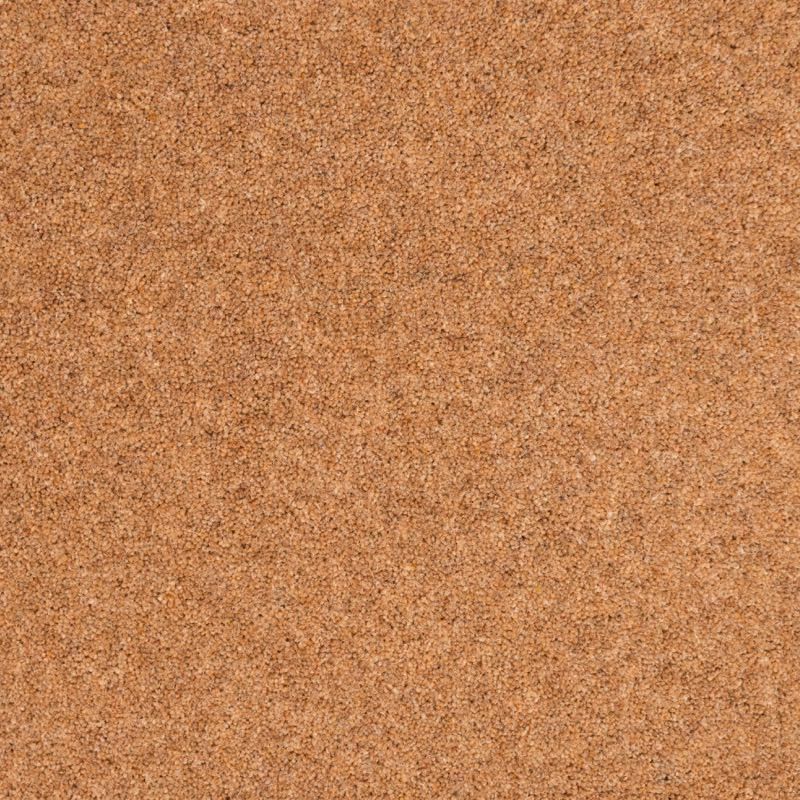 Penthouse Carpets Shoreline Atoll 50oz