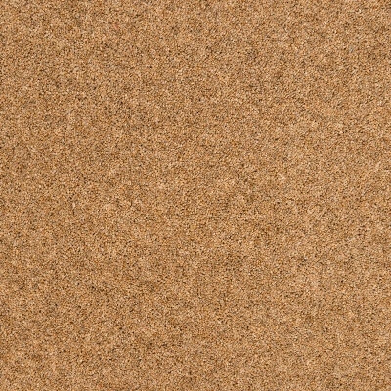 Penthouse Carpets Springtime Romney 40oz
