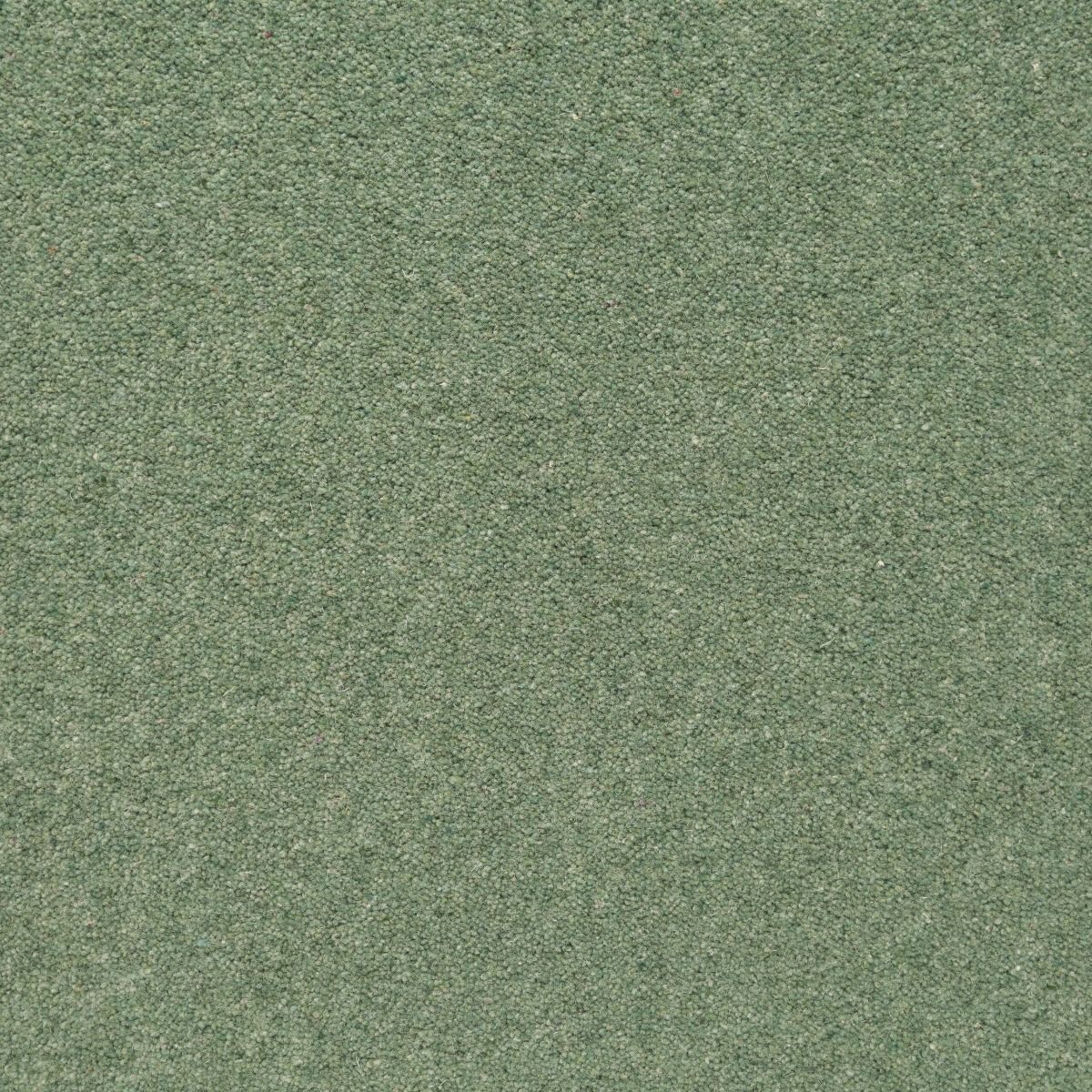 Penthouse Carpets Shoreline Kelp 50oz