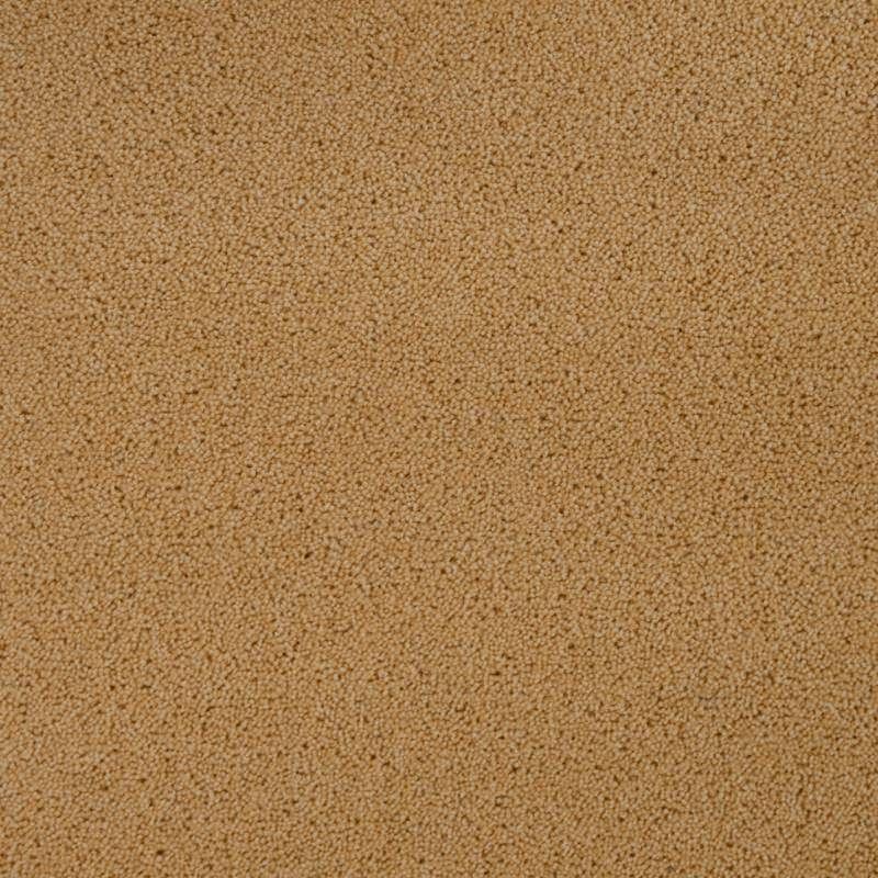 Penthouse Carpets Pentwist Colours Buttercup 40oz