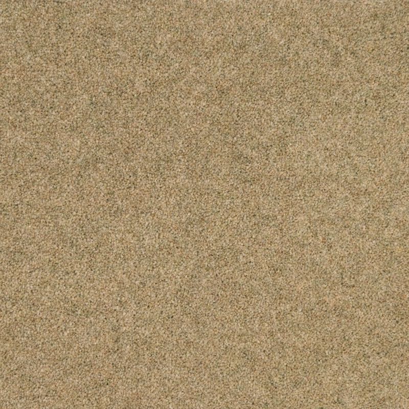 Penthouse Carpets Cumbrian Barrow 50oz