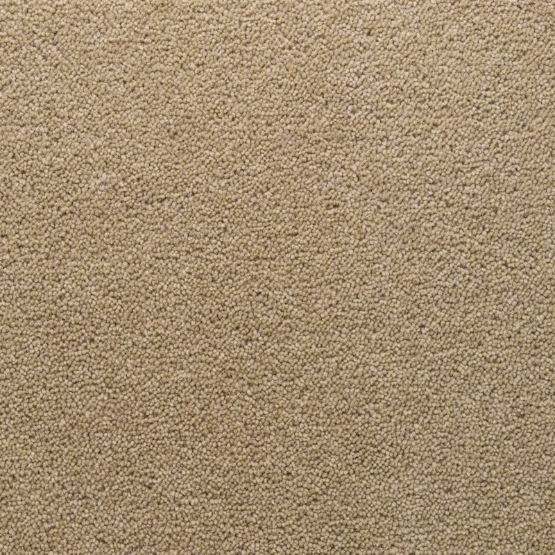 Penthouse Carpets Stateside Seattle 50oz