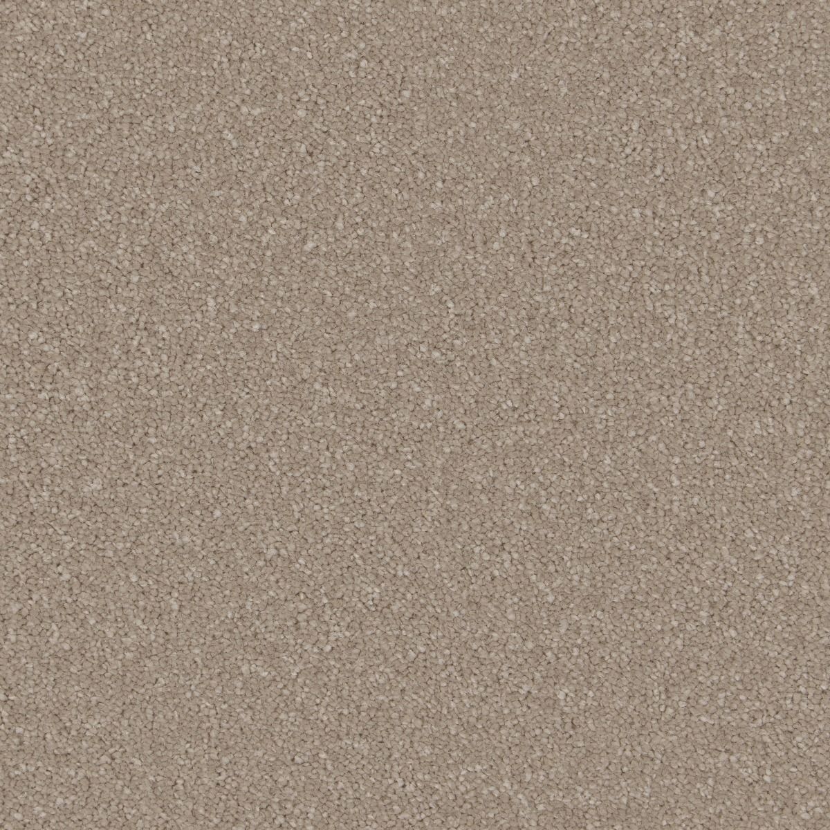 Cormar Carpet Co Ultimate Sensation Ammonite