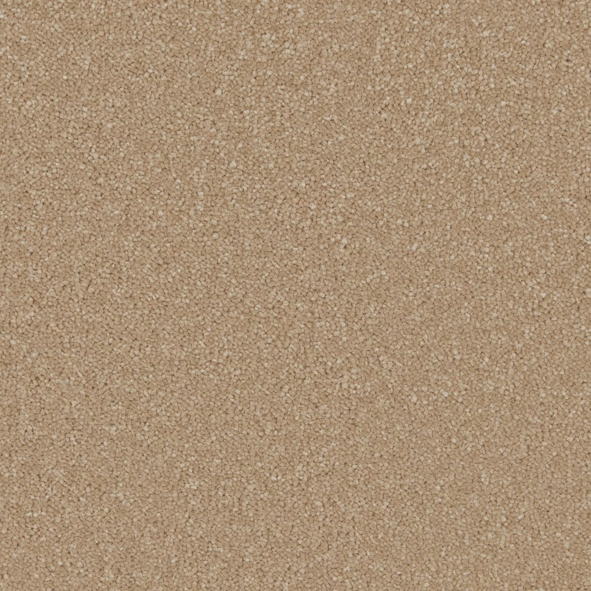 Cormar Carpet Co Sensation Original Laguna