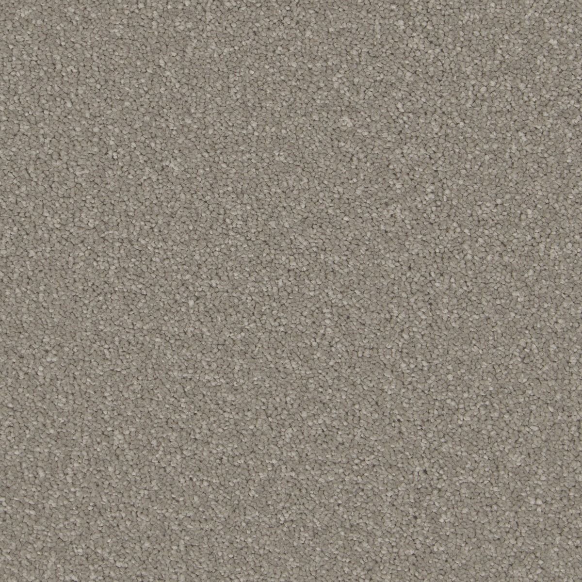 Cormar Carpet Co Sensation Ammonite