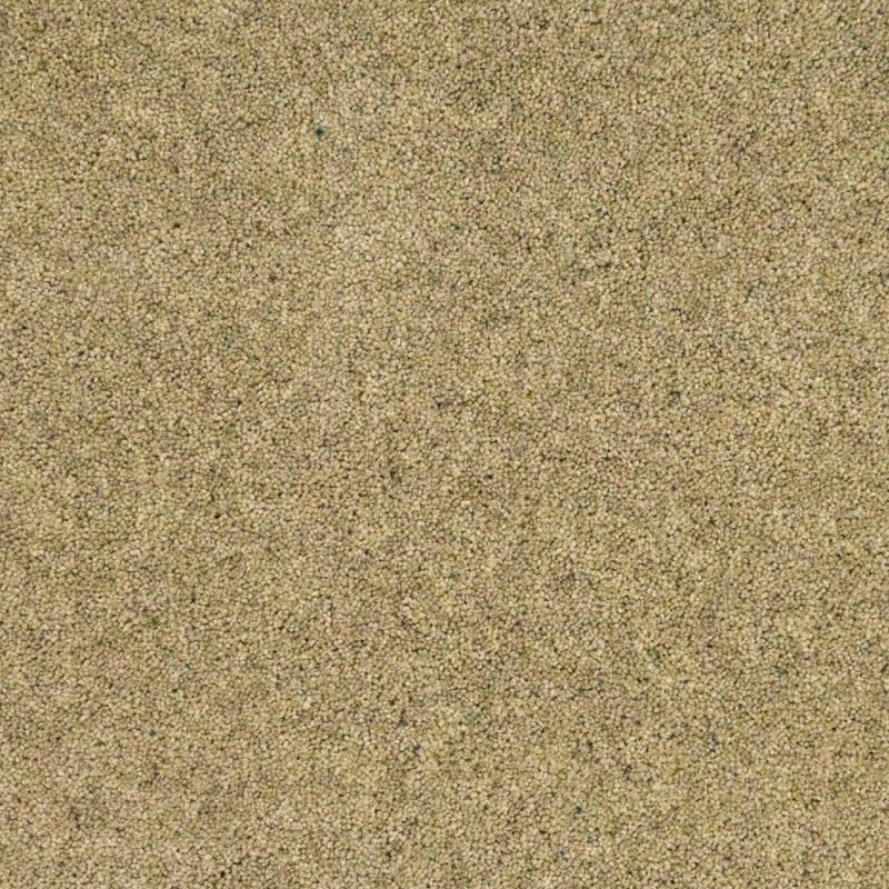 Penthouse Carpets Vermont Greensboro 60oz
