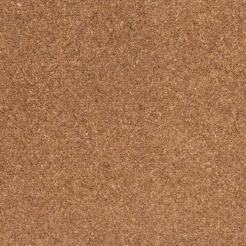 Penthouse Carpets Springtime Cheviot 50oz