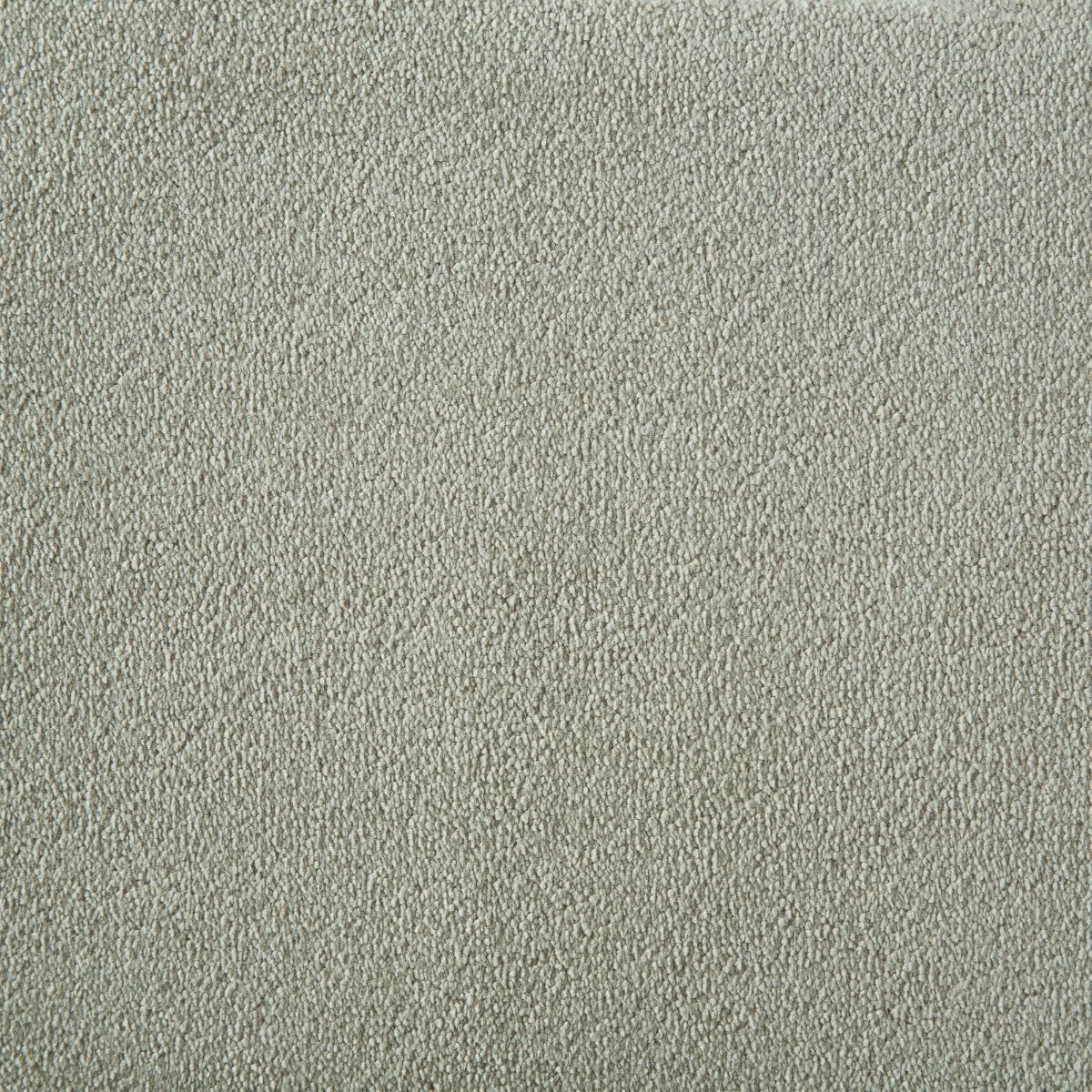 Westex Carpet Silken Velvet Chic Charm