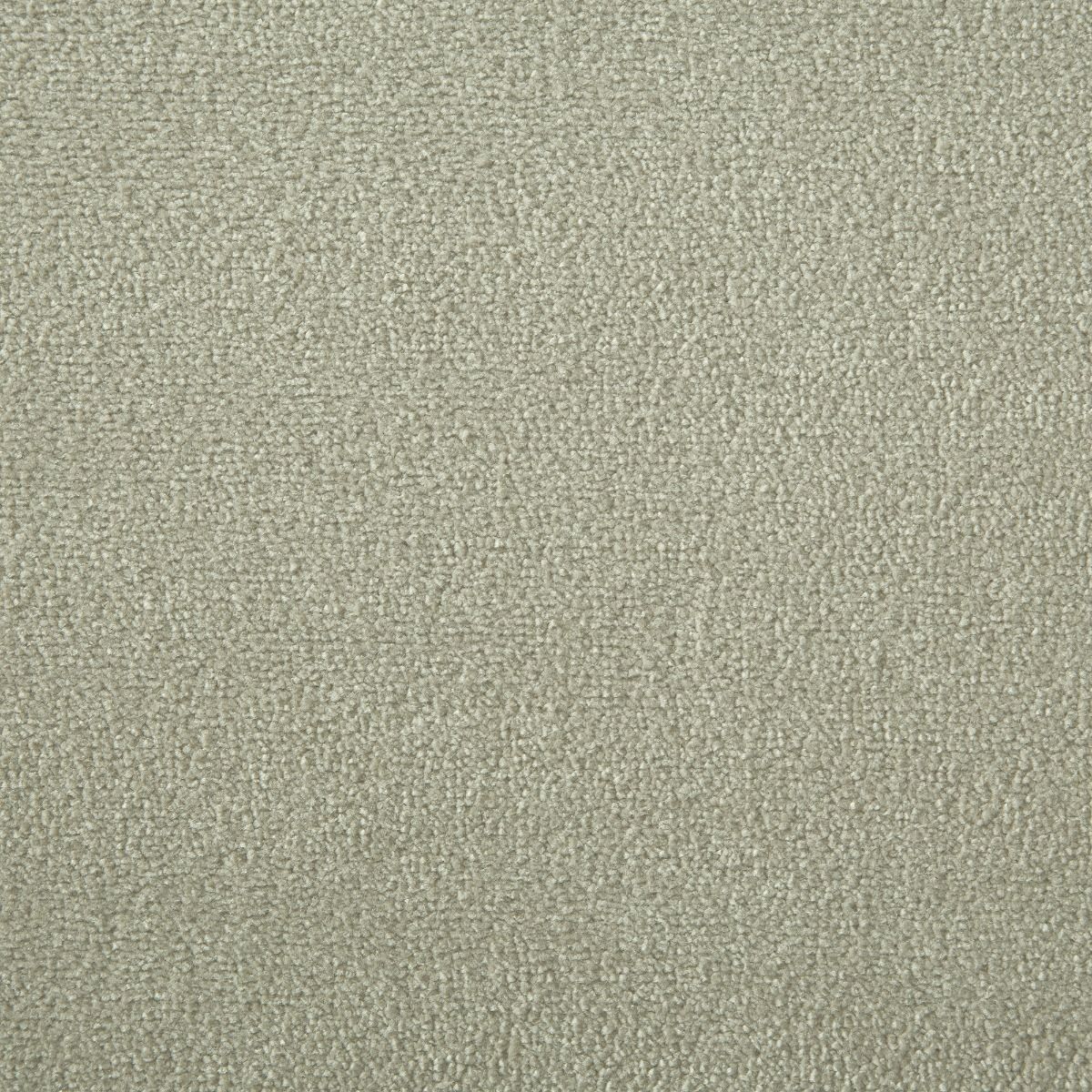 Westex Carpet Silken Velvet Vogue Ecru