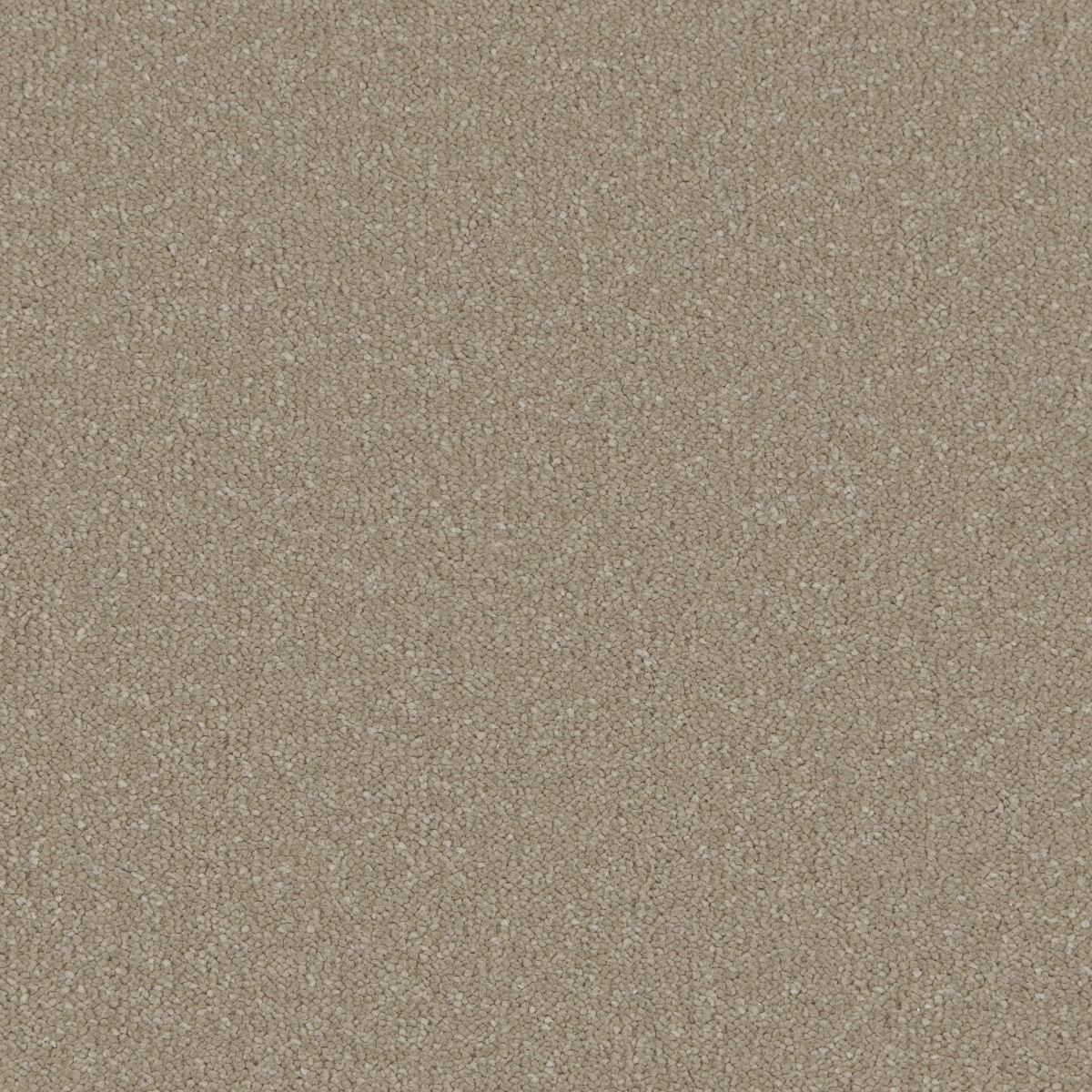 Cormar Carpet Co Silken Serenity Nocciola