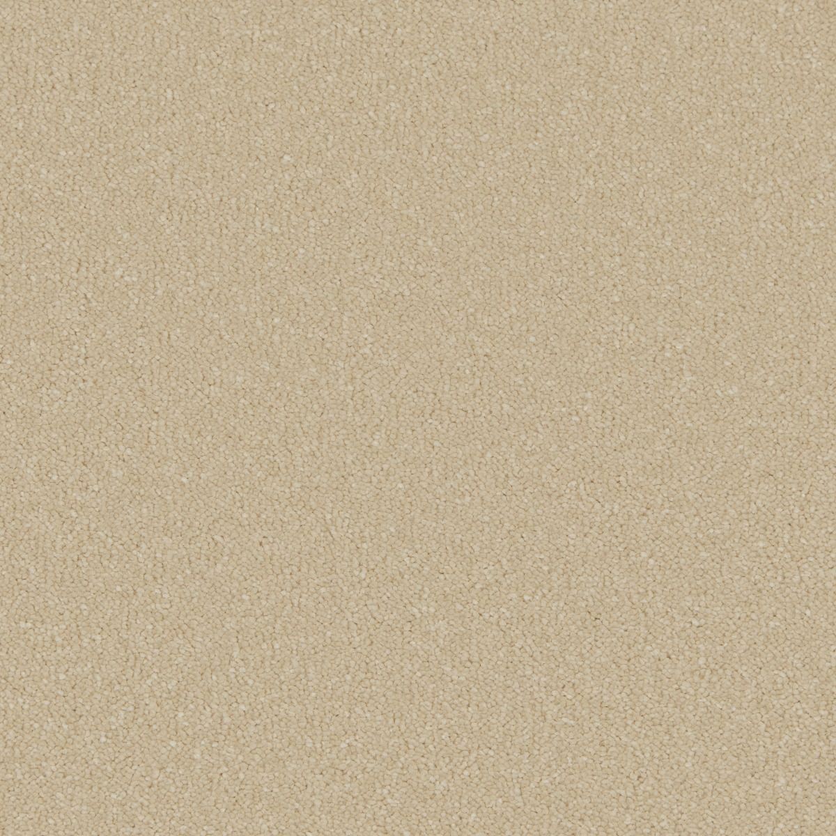 Cormar Carpet Co Silken Serenity Sand Dune