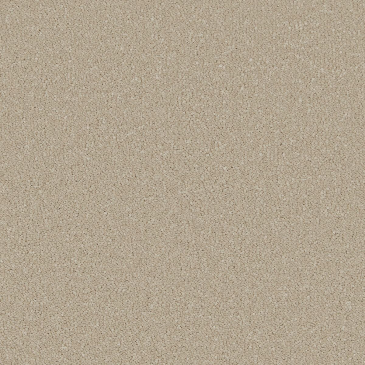 Cormar Carpet Co Silken Serenity Stucco