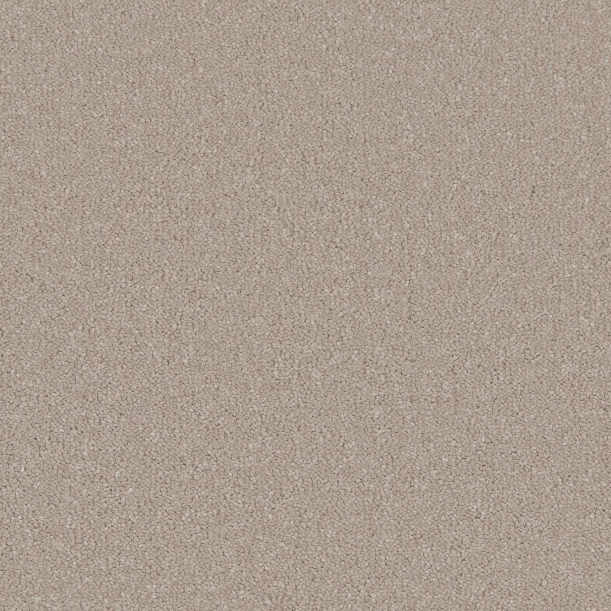Cormar Carpet Co Silken Serenity Taffetta