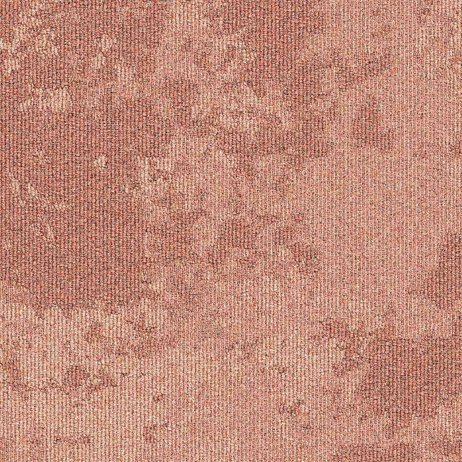 Peach Frost 35714
