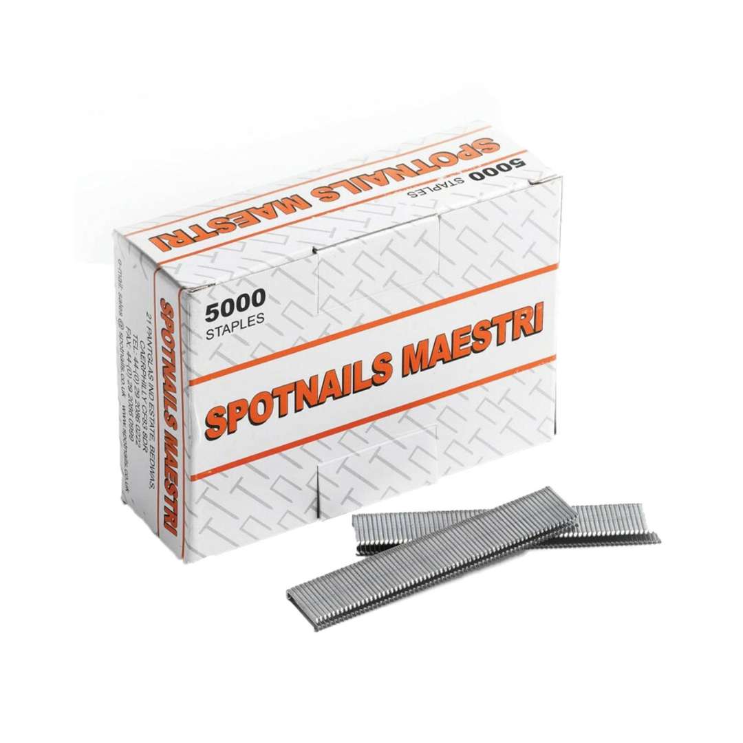 Spotnails Maestri Staples 20mm Type 66