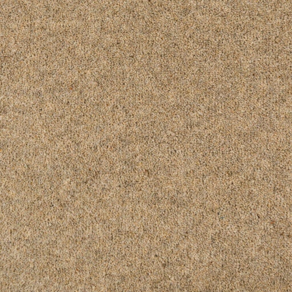 Penthouse Carpets Seasons Autumn