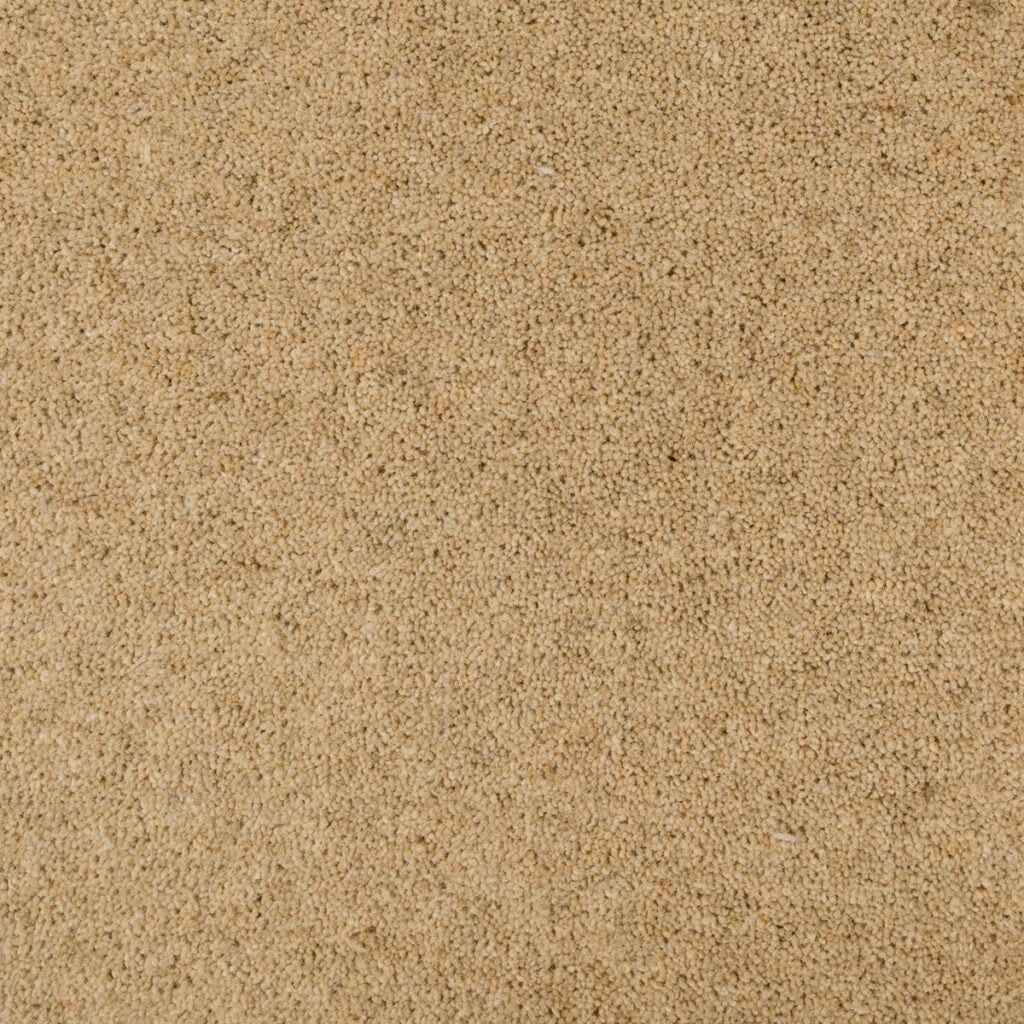 Penthouse Carpets Seasons Autumn