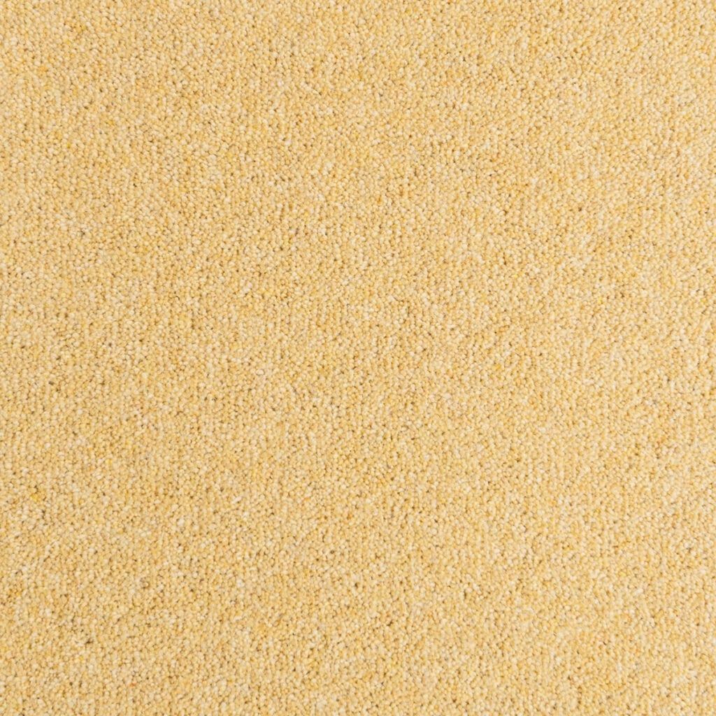 Penthouse Carpets Seasons Autumn