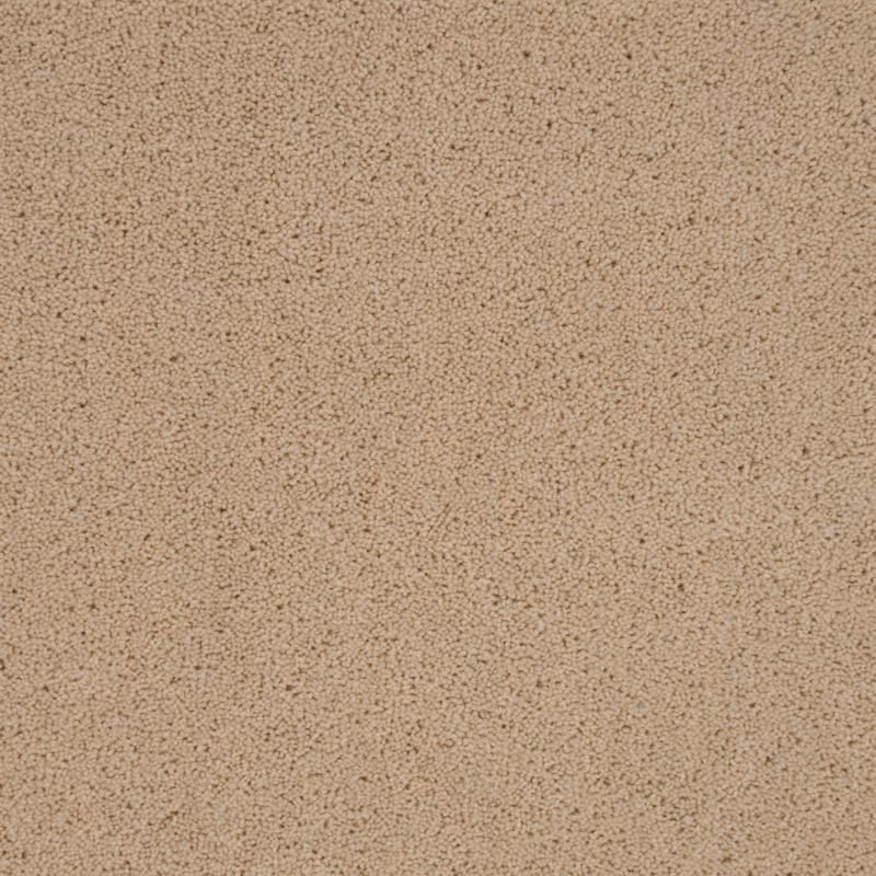 Penthouse Carpets Pentwist Naturals Calico 50oz