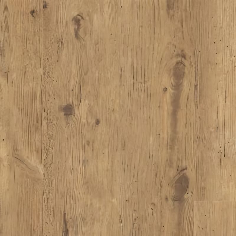 TLC True Forest Rustic Birch 5183