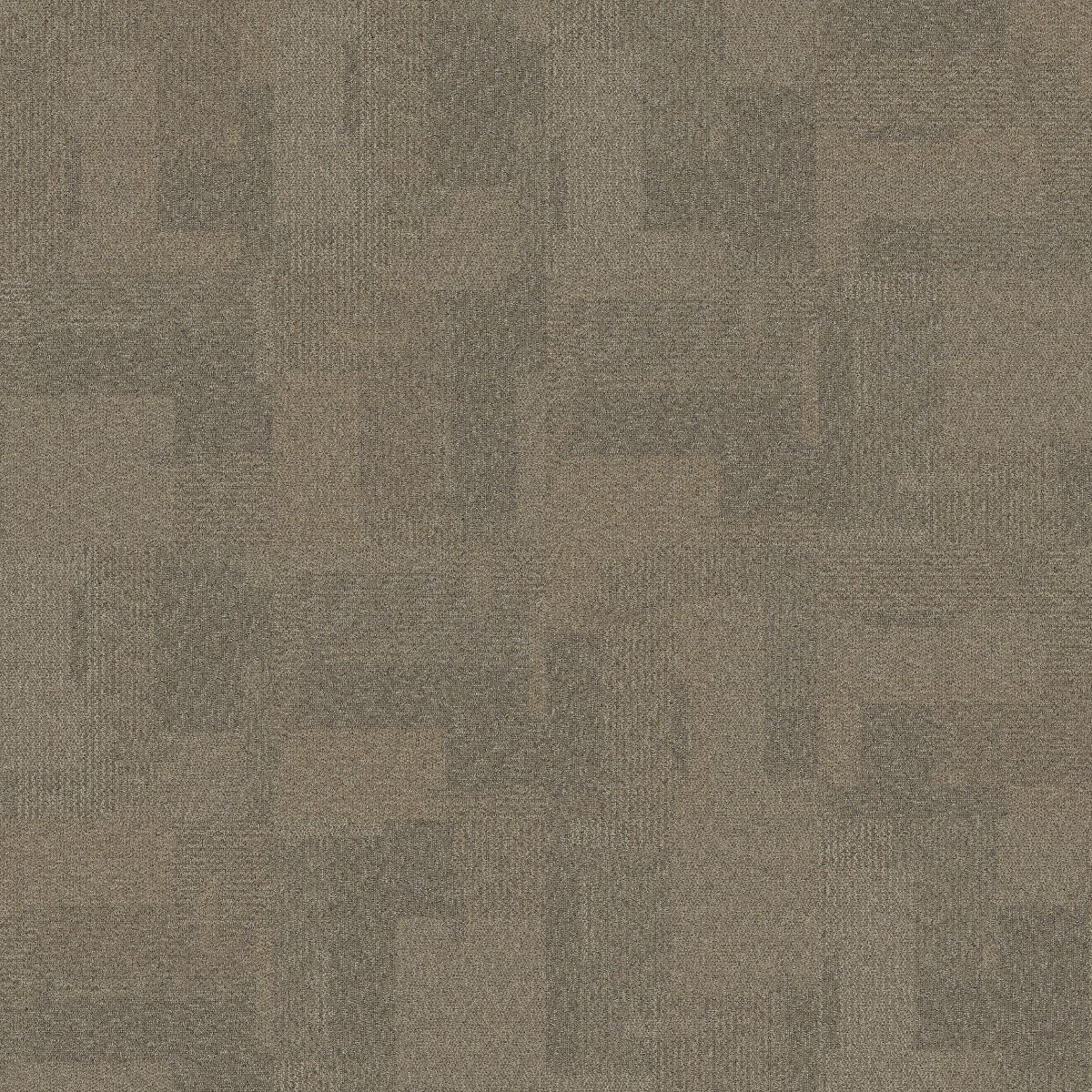 Interface Transformation Carpet Tile Desert 1628014