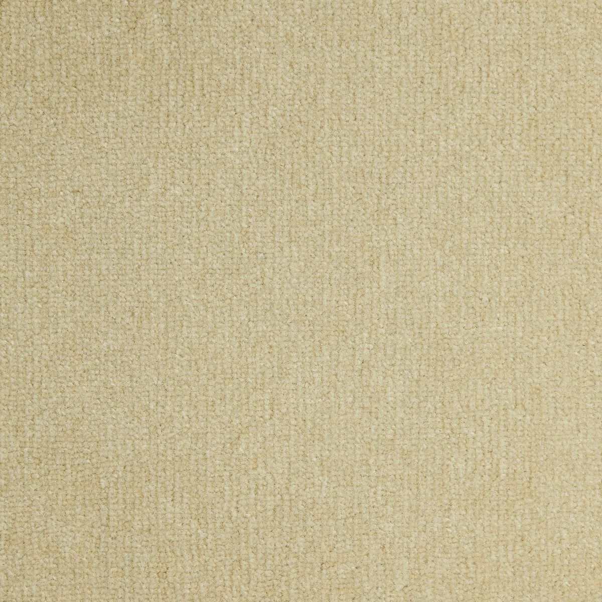 Westex Carpet Pure Luxury Wool Troika Marshmallow