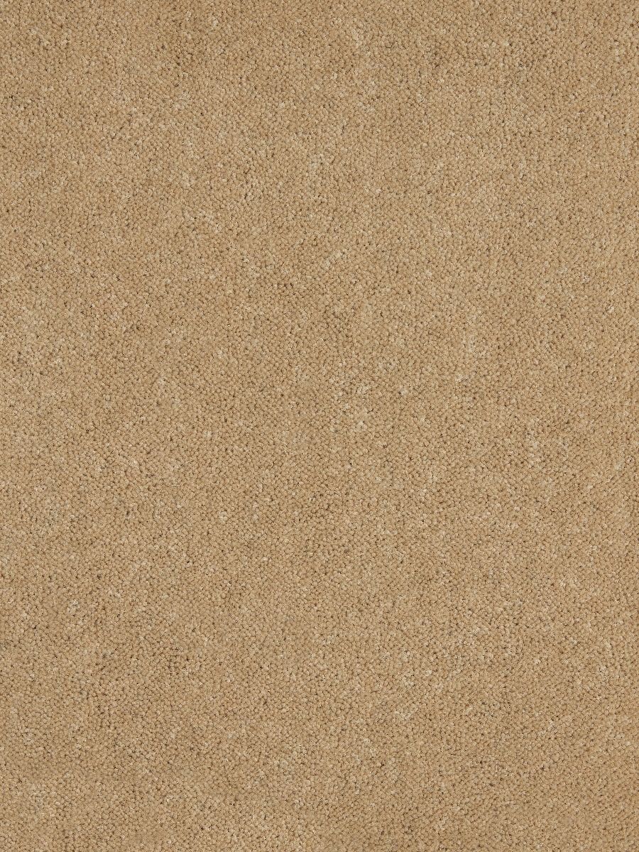 Westex Carpet Ultima Twist Major Alabaster