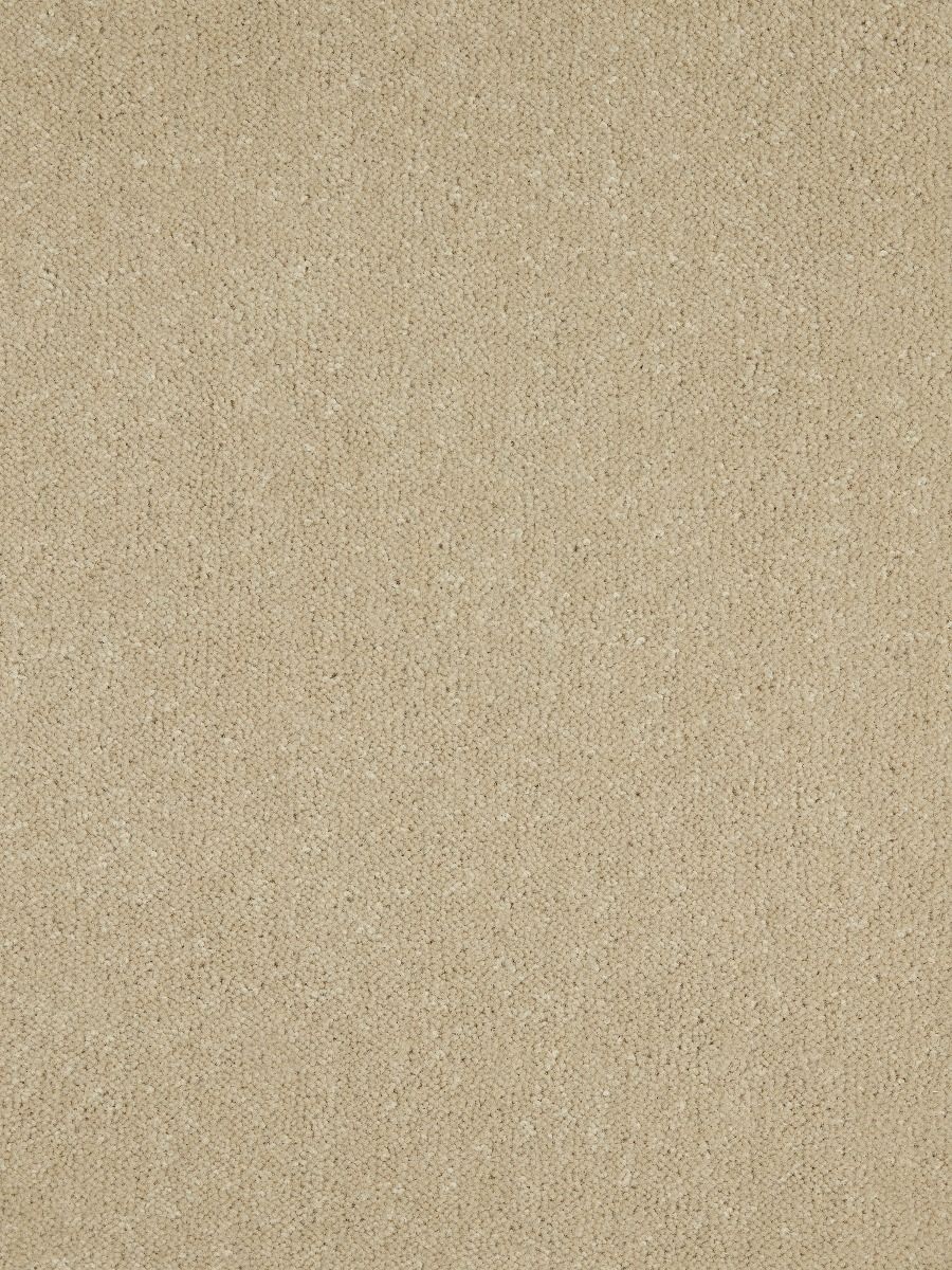 Westex Carpet Ultima Twist Major Black