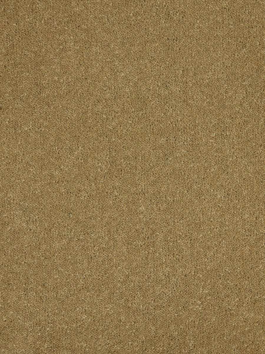 Westex Carpet Ultima Twist Ultima Dogwood
