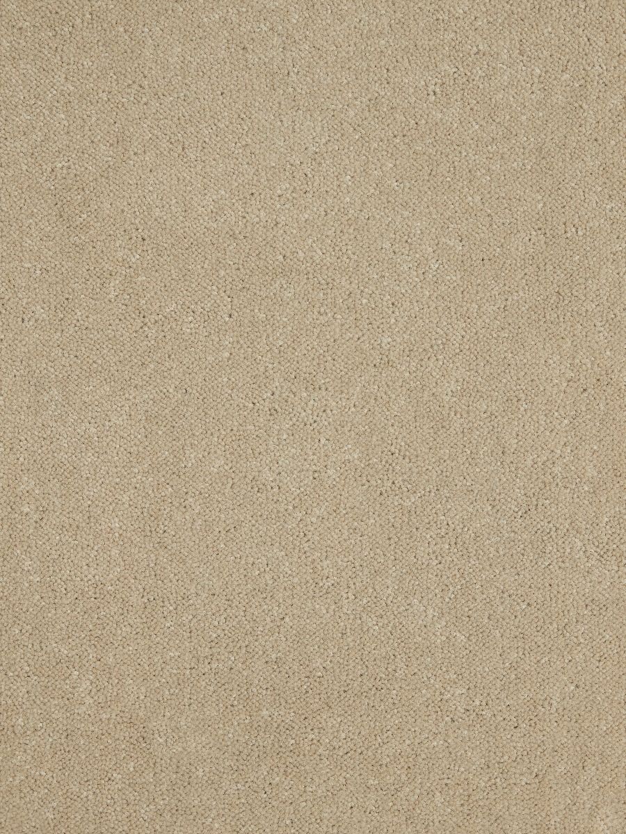 Westex Carpet Ultima Twist Ultima Dogwood
