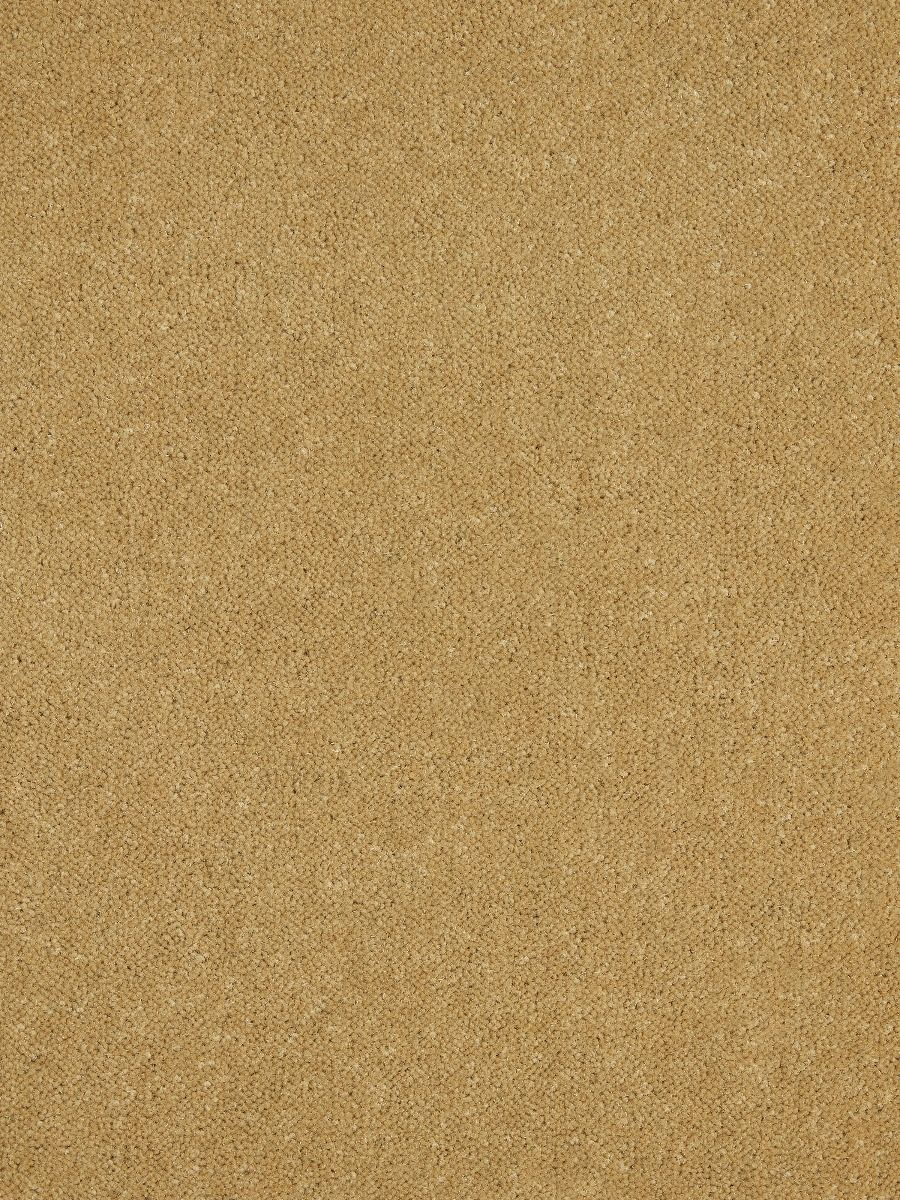 Westex Carpet Ultima Twist Major Sepia