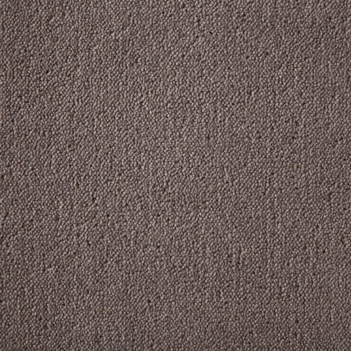 Westex Carpet Ultima Twist Crest Bark