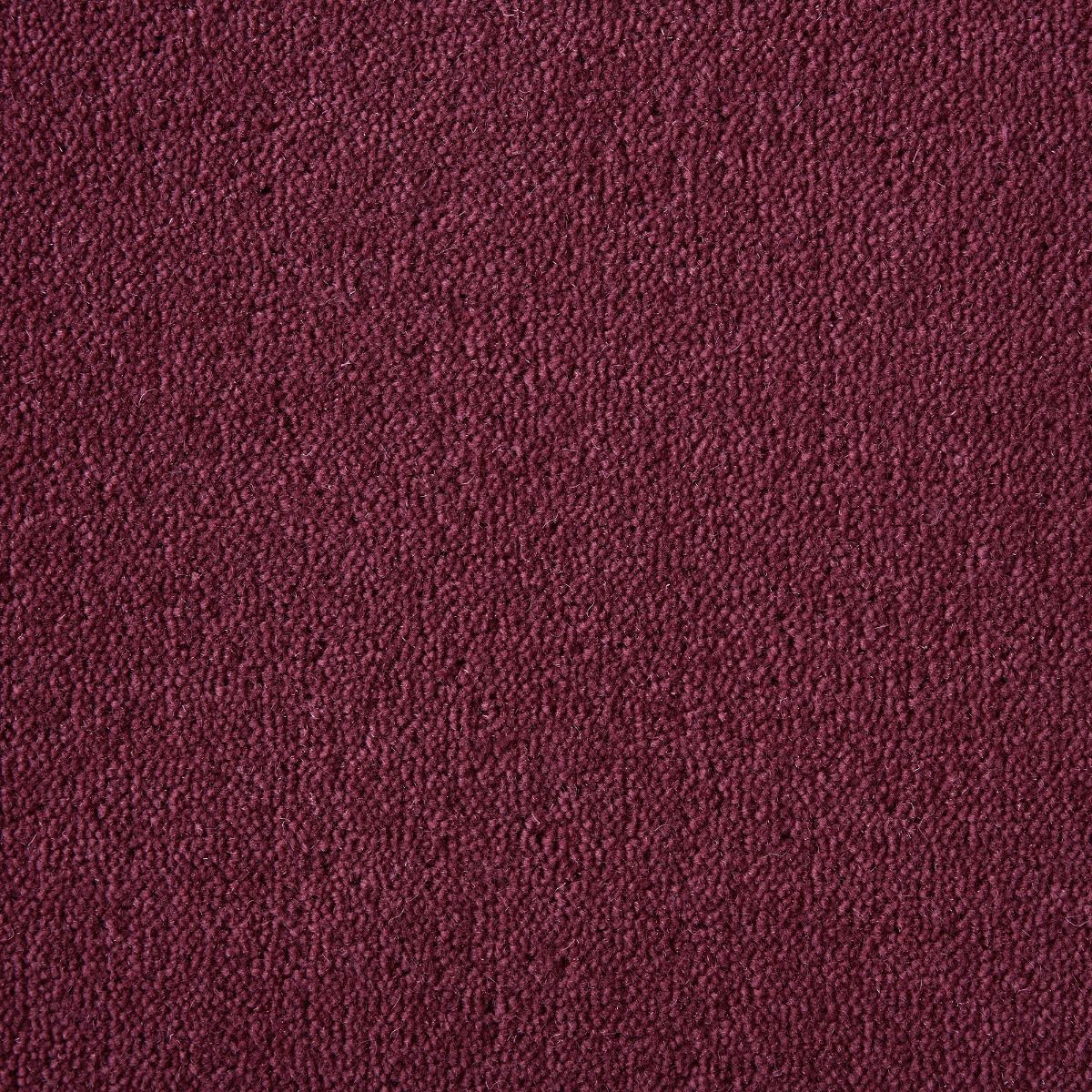 Ultima Twist Crest Dogwood