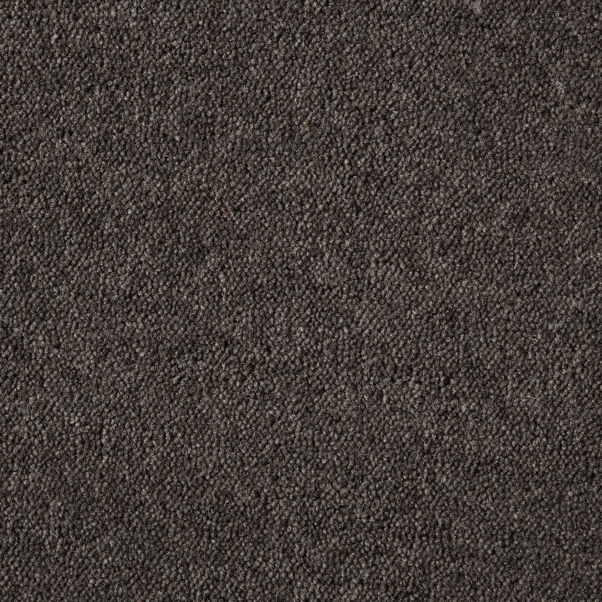 Westex Carpet Ultima Twist Crest Bark