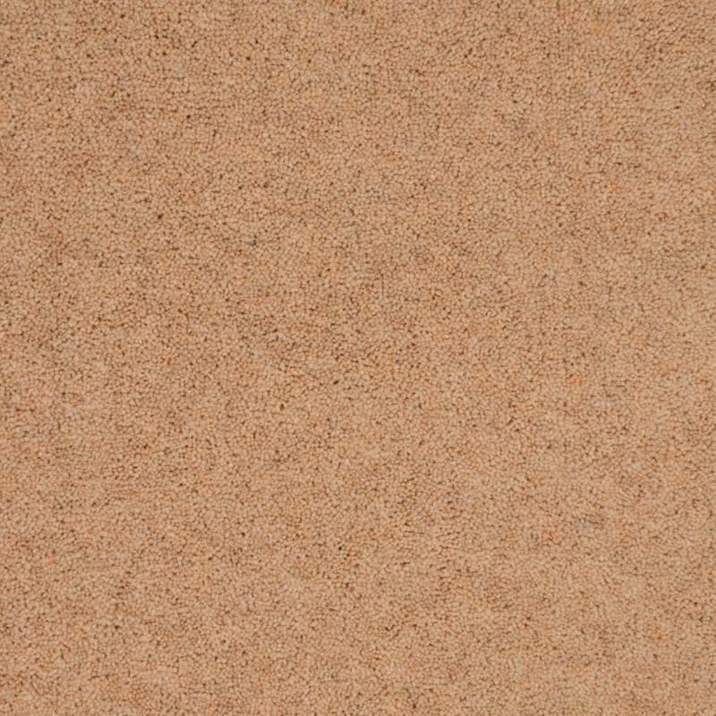 Penthouse Carpets Pentwist Naturals Calico 40oz