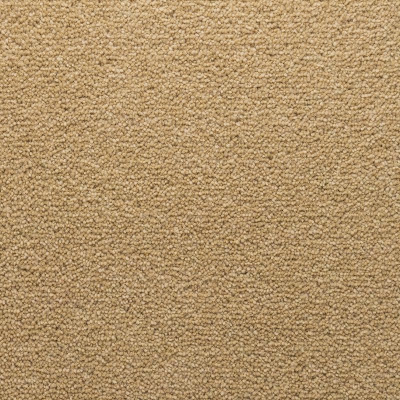 Penthouse Carpets Stateside Sheridan 50oz