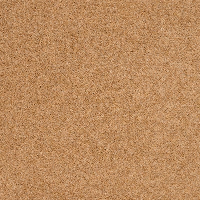 Penthouse Carpets Cumbrian Barrow 50oz