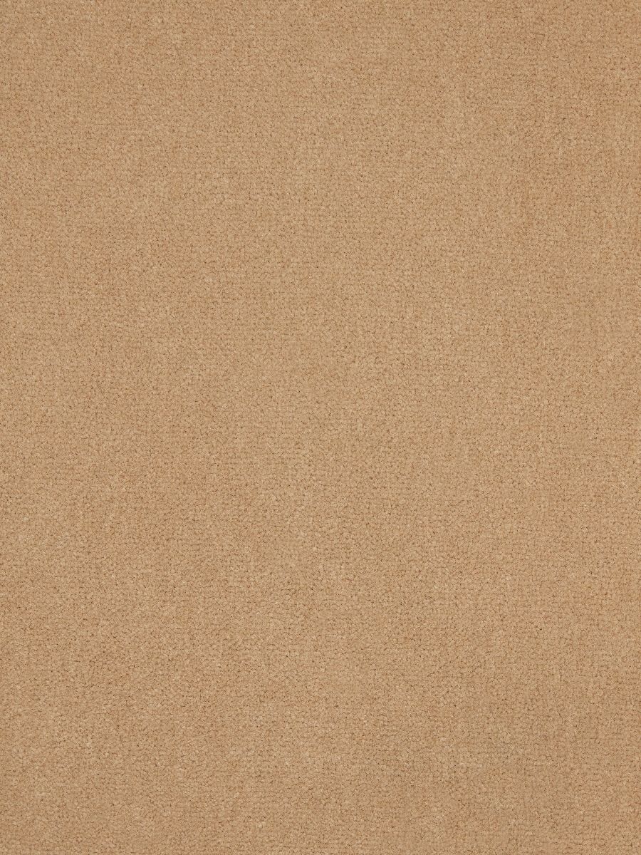 Westex Carpet Westend Velvet Westend Butternut