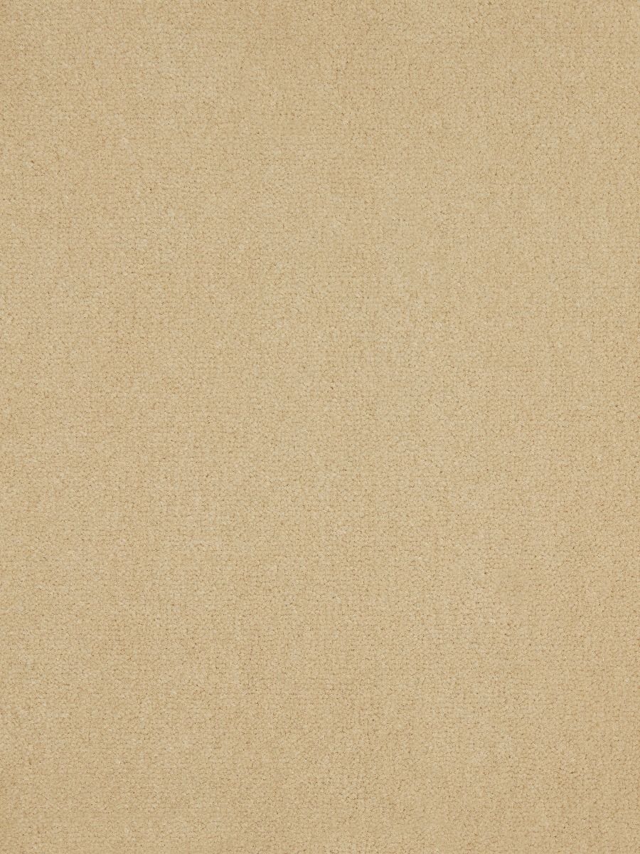 Westex Carpet Westend Velvet Supreme Amber