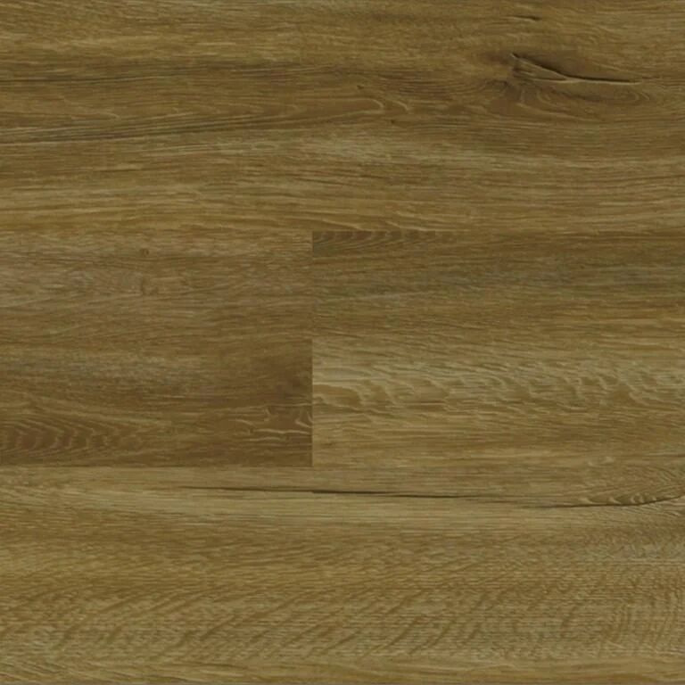 Harbor Oak