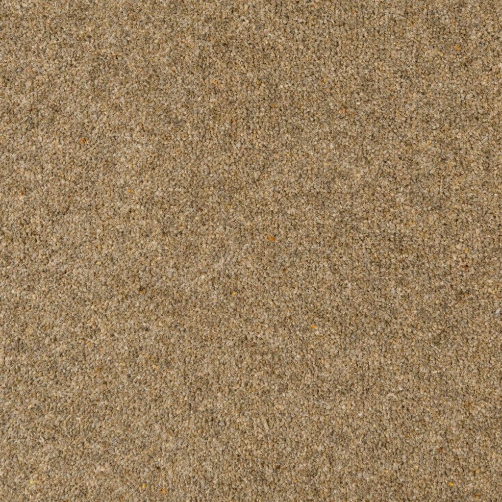 Penthouse Carpets Seasons Autumn