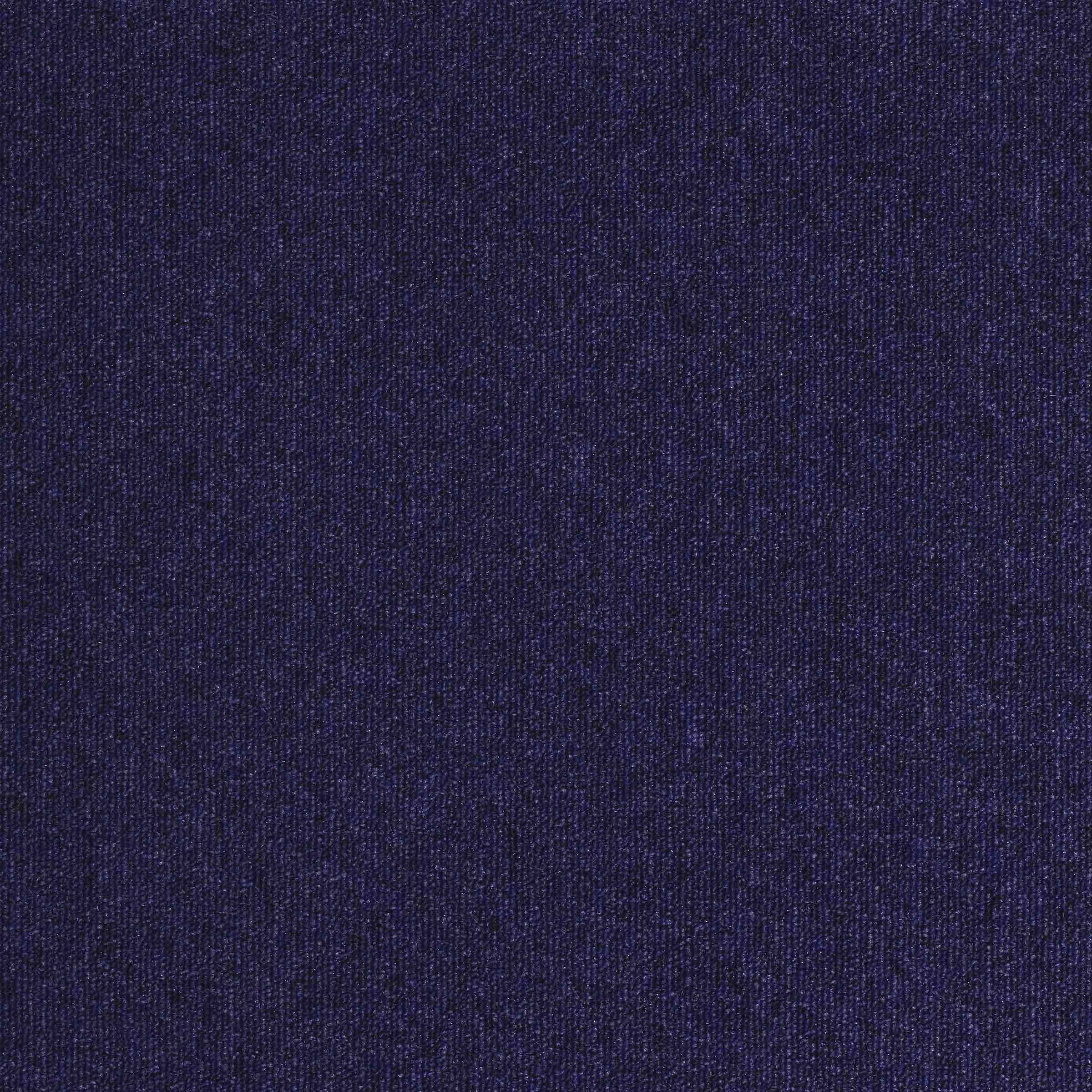 Paragon Workspace Loop Blue Yonder Contract Carpet Tile