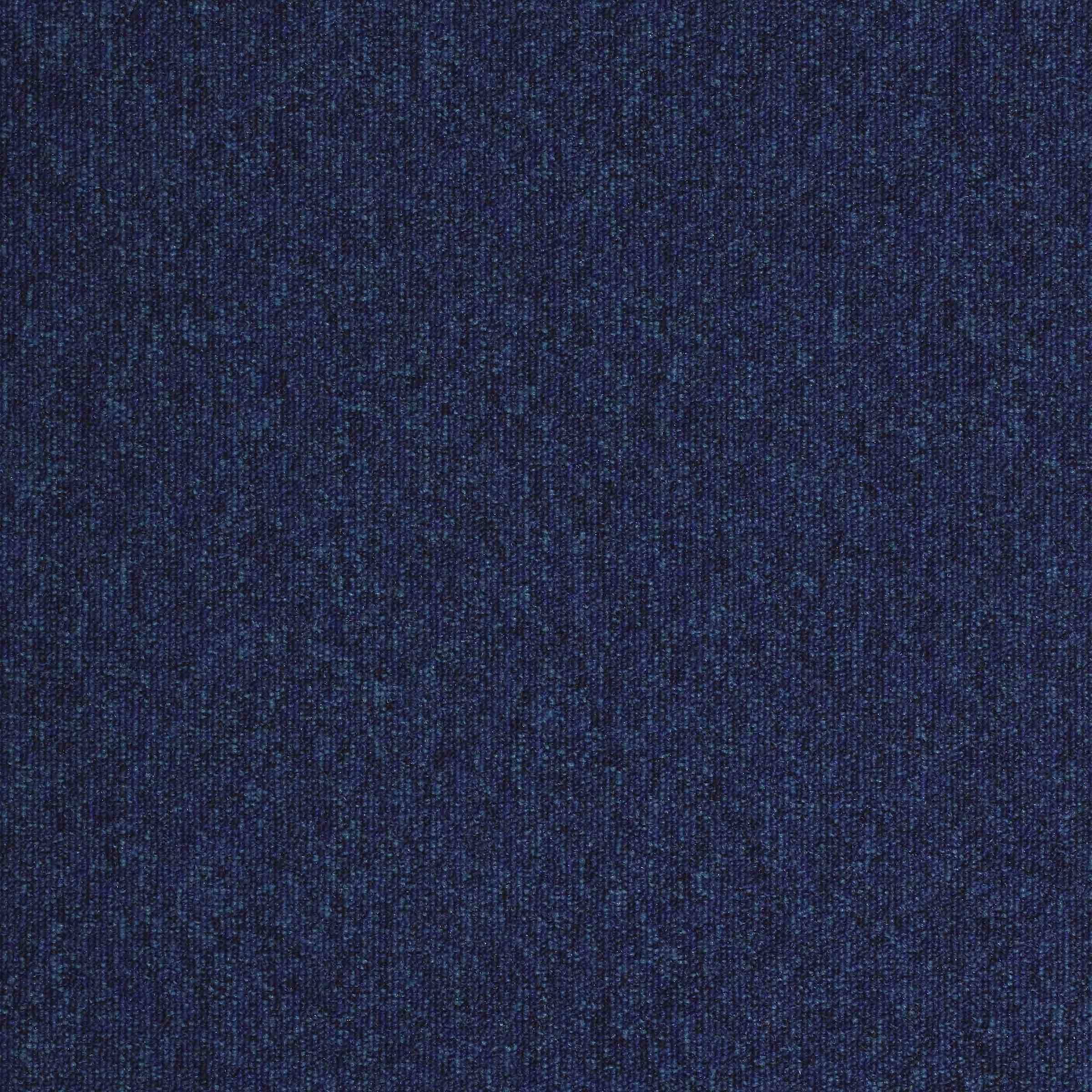 Paragon Workspace Loop Indigo Contract Carpet Tile